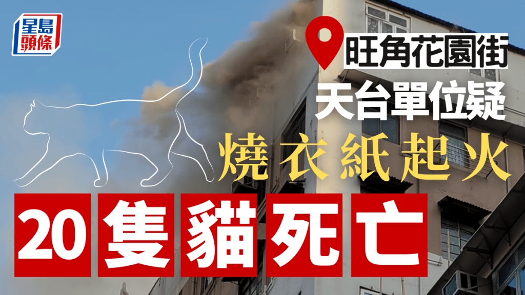 旺角花園街有大廈天台一個單位，懷疑因燒衣紙意外起火，20隻貓死亡。