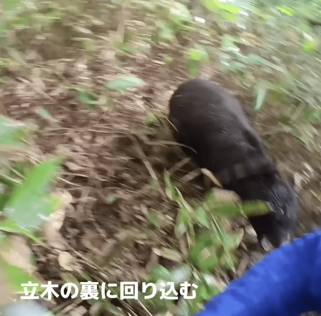 虽然最终手脚被抓伤，至今身上仍留有明显疤痕，但总算成功凭木棍将母熊赶走，保住了性命。