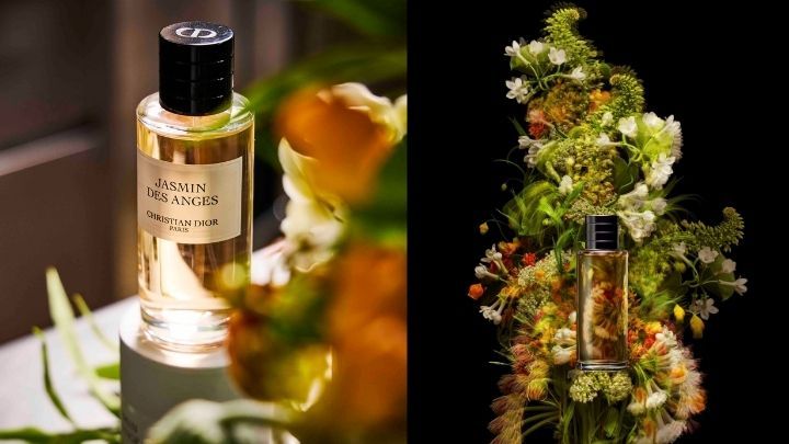 Jasmin des Anges拥有甜美而馥郁的花香特质,当中以夏末的格拉斯茉莉花尤其出众,散发如印度夏日般的温暖阳光气息。