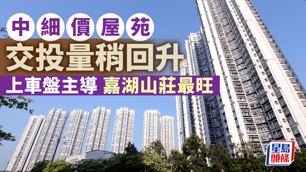 拆息下降 買家加快入市 中細價屋苑交投量稍回升 上車盤主導 嘉湖山莊最旺