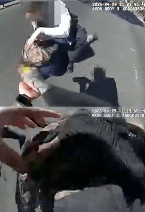 警方於周四公開執法片段，顯示嫌疑人一度企圖襲擊警員，最終被電擊槍制服。