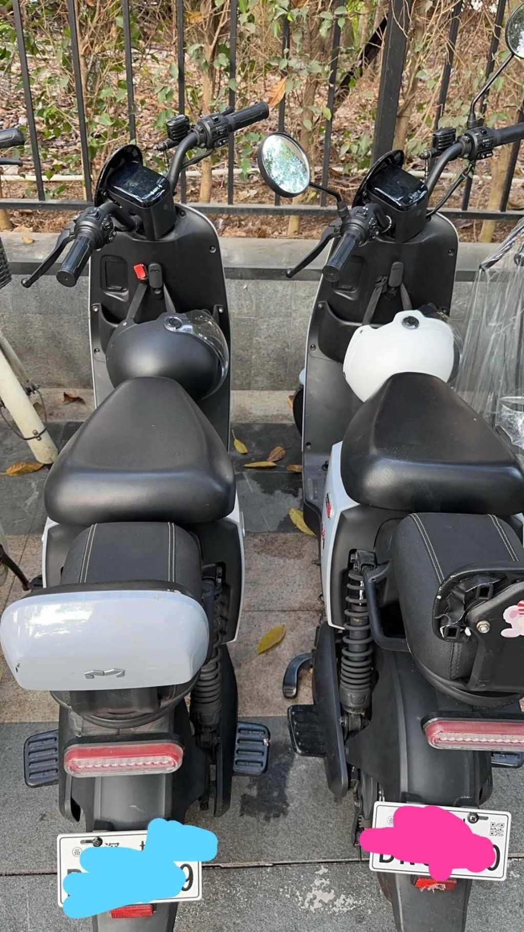 事主稱香港人都可以租用電動電單車（圖片來源：Facebook@深圳大灣區國內吃喝玩樂開心分享區）