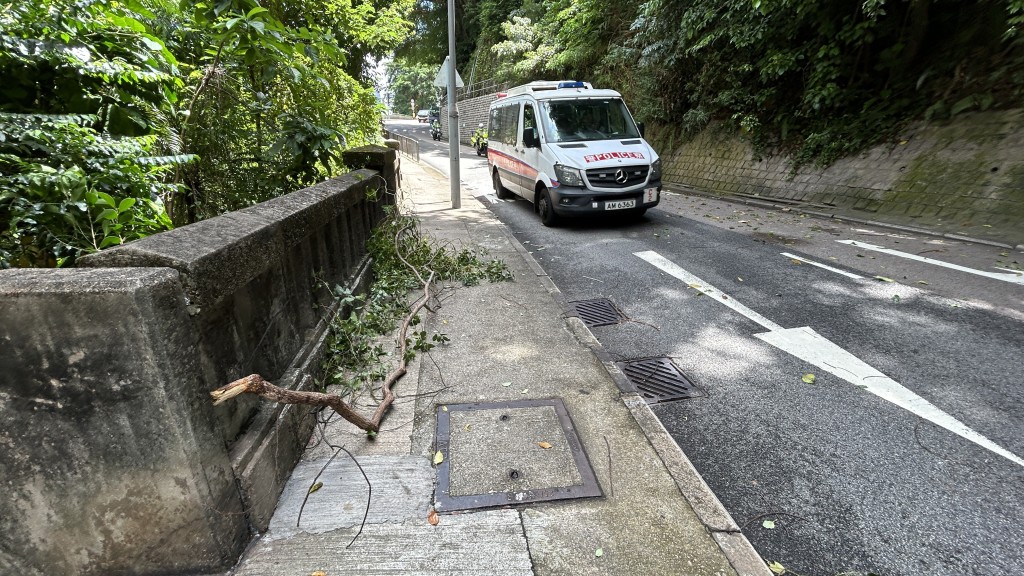 警車到場。蔡楚輝攝