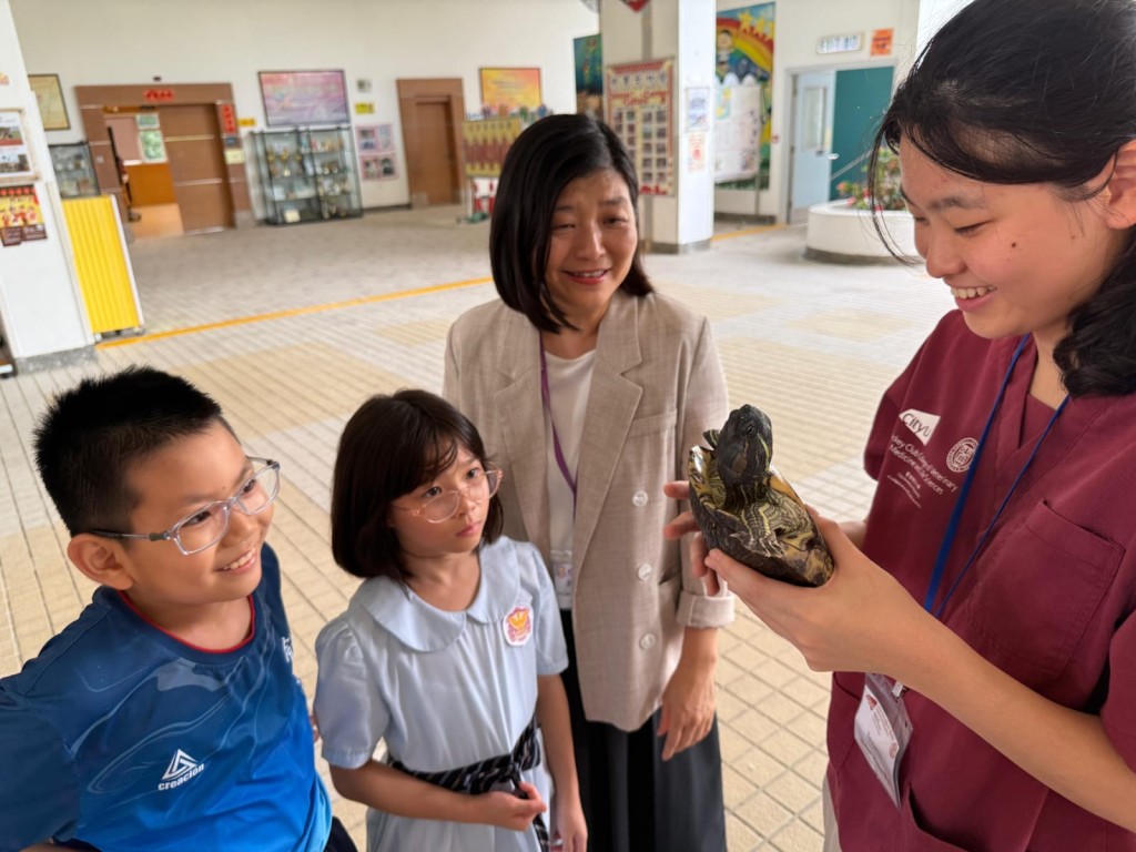 鳳溪創新小學於2025年5月給烏龜們建造了一個安樂窩「寵愛閣」。 鳳溪創新小學於2025年5月給烏龜們建造了一個安樂窩「寵愛閣」。