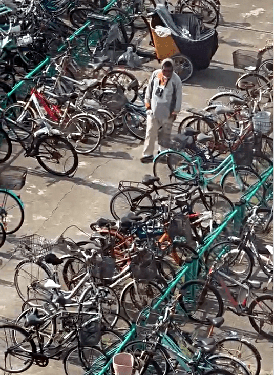 賊人偷單車過程。徐太提供