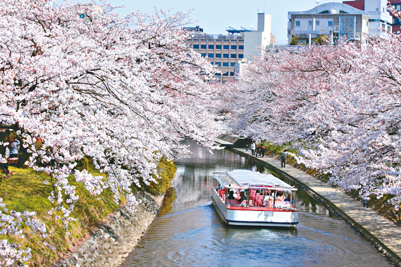 ●乘船沿护城河赏樱，可说别具东瀛韵味。
