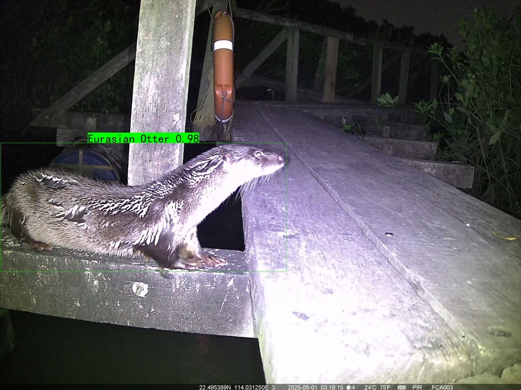 加強環境教育及運用現代科技輔助生態監測