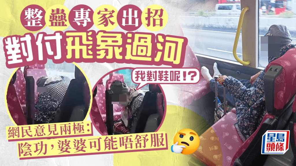 搭巴士飛象過河 整蠱專家出招收埋對鞋 婆婆左搵右搵 網民意見兩極 搭巴士飛象過河 整蠱專家出招收埋對鞋 婆婆左搵右搵 網民意見兩極