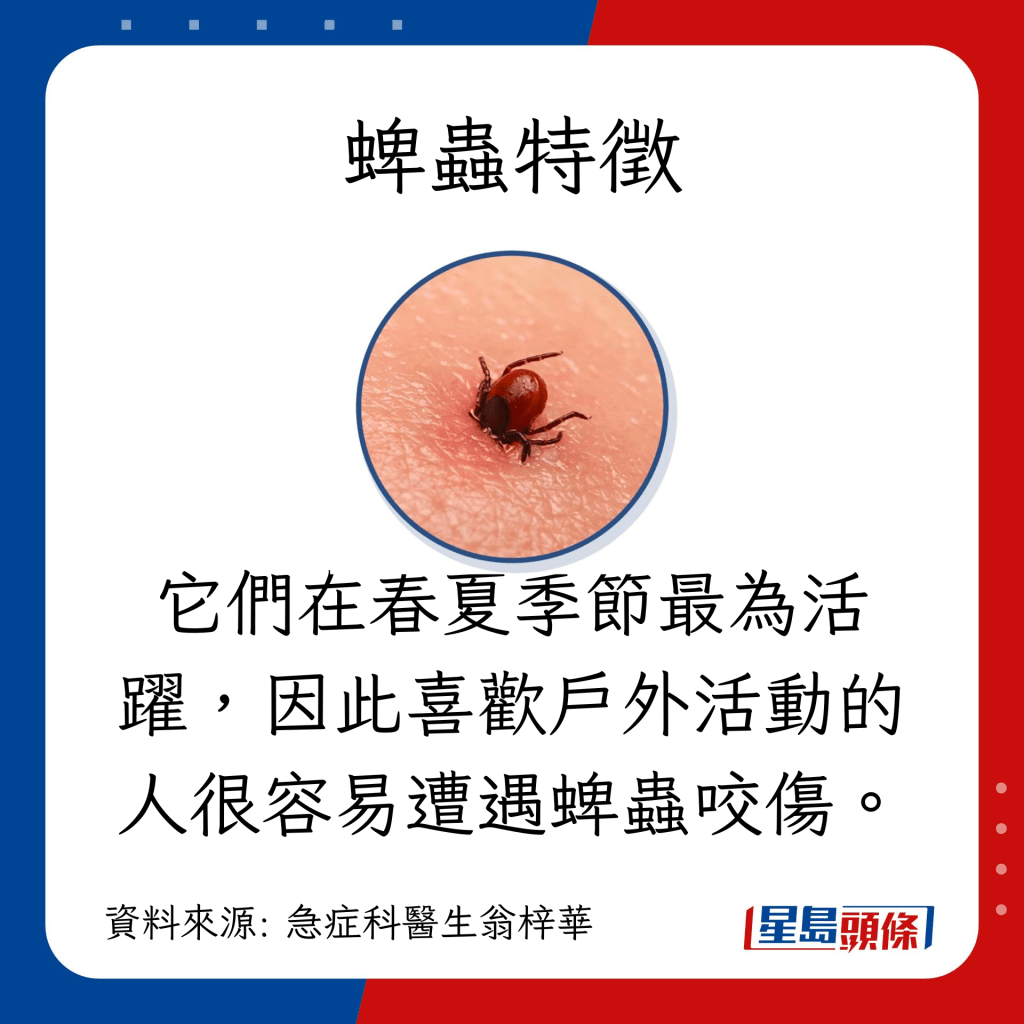 蜱虫在春夏季节最为活跃，因此喜欢户外活动的人很容易遭遇蜱虫咬伤。