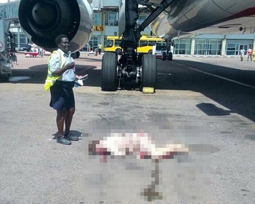 阿聯酋航空公司一名空姐疑似輕生，送院後證實死亡。 網圖