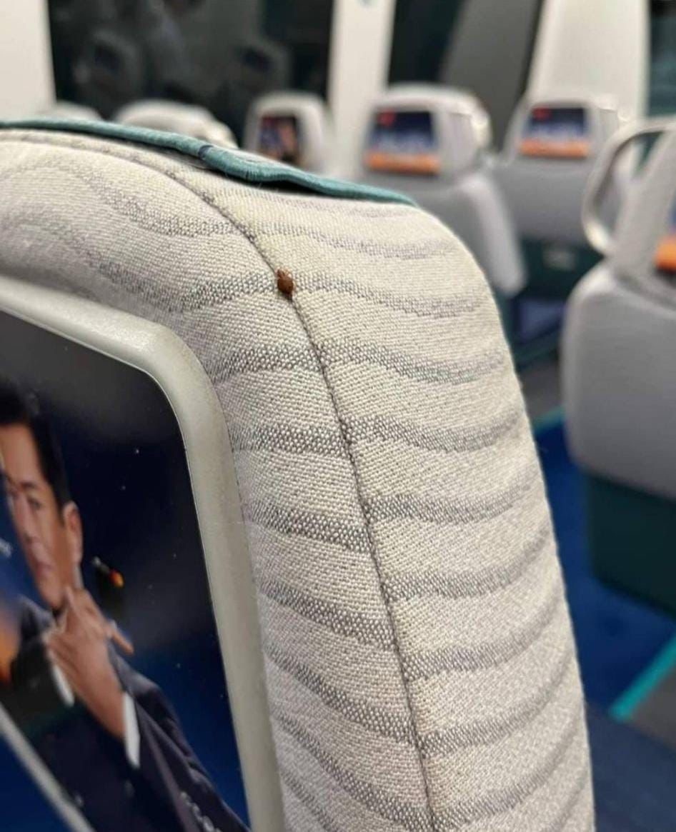 网上流传一张机场快綫列车怀疑发现床虱的照片。网上图片