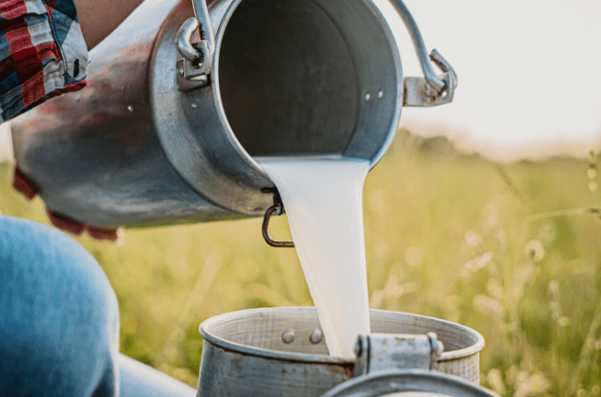 德州衞生部表示，乳牛受感染不會影響商業牛奶供應。