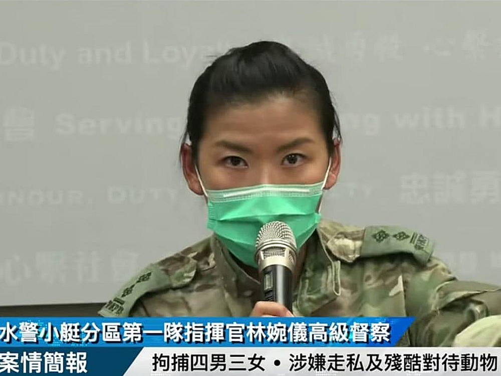 林婉儀過去曾搗破多宗走私案,包括去年走私及殘酷對待動物案,和同年3700萬元走私案,當時林亦有出席記者會交代案情。