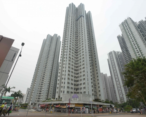 富怡花園520萬綠表價沽。