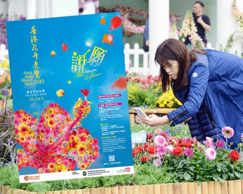 今屆花展以「大紅花說願」為主題,主題花是「大紅花」。