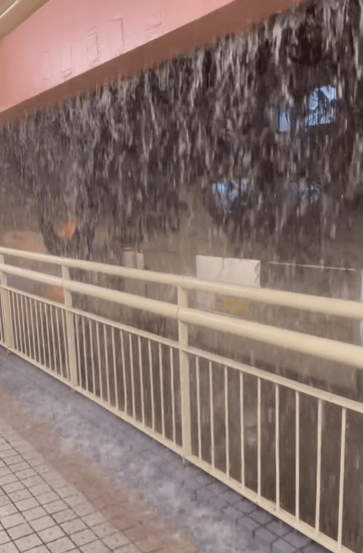 行人天橋變「水舞間」。網上圖片 行人天橋變「水舞間」。網上圖片