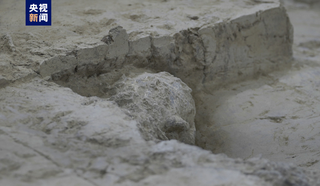 發現在頭骨化石仍有一半在泥土中