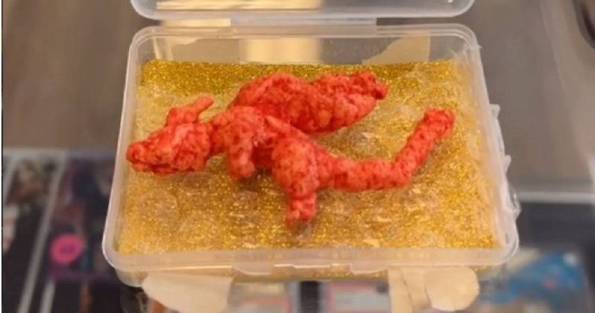 “喷火龙”造型粟米条近69万天价成交，获健力士世界纪录认证，近日再度引发讨论。IG／1standgoal_collectibles