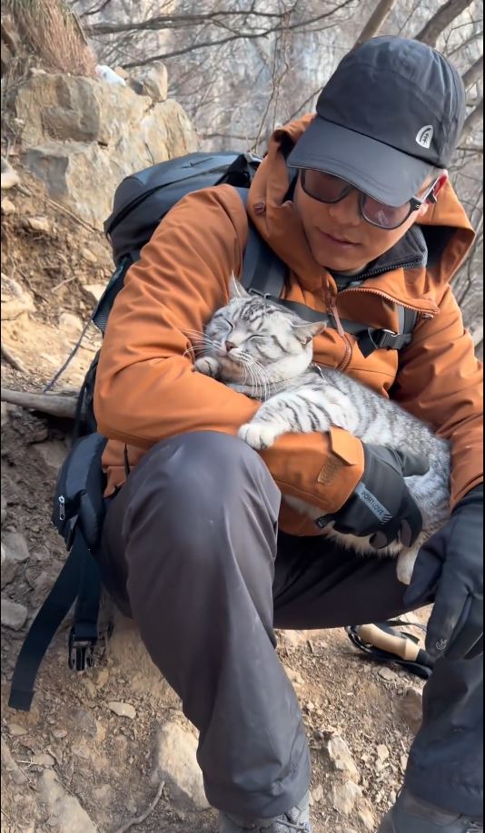 豆豆过去多次被好心游客带落山，试过一天三次自己爬上山回家。抖音