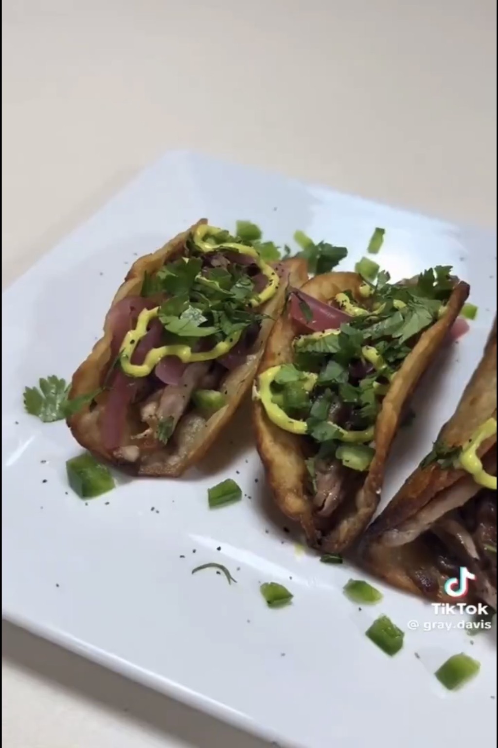 制成鬣蜥塔可饼。  TikTok@gray.davis