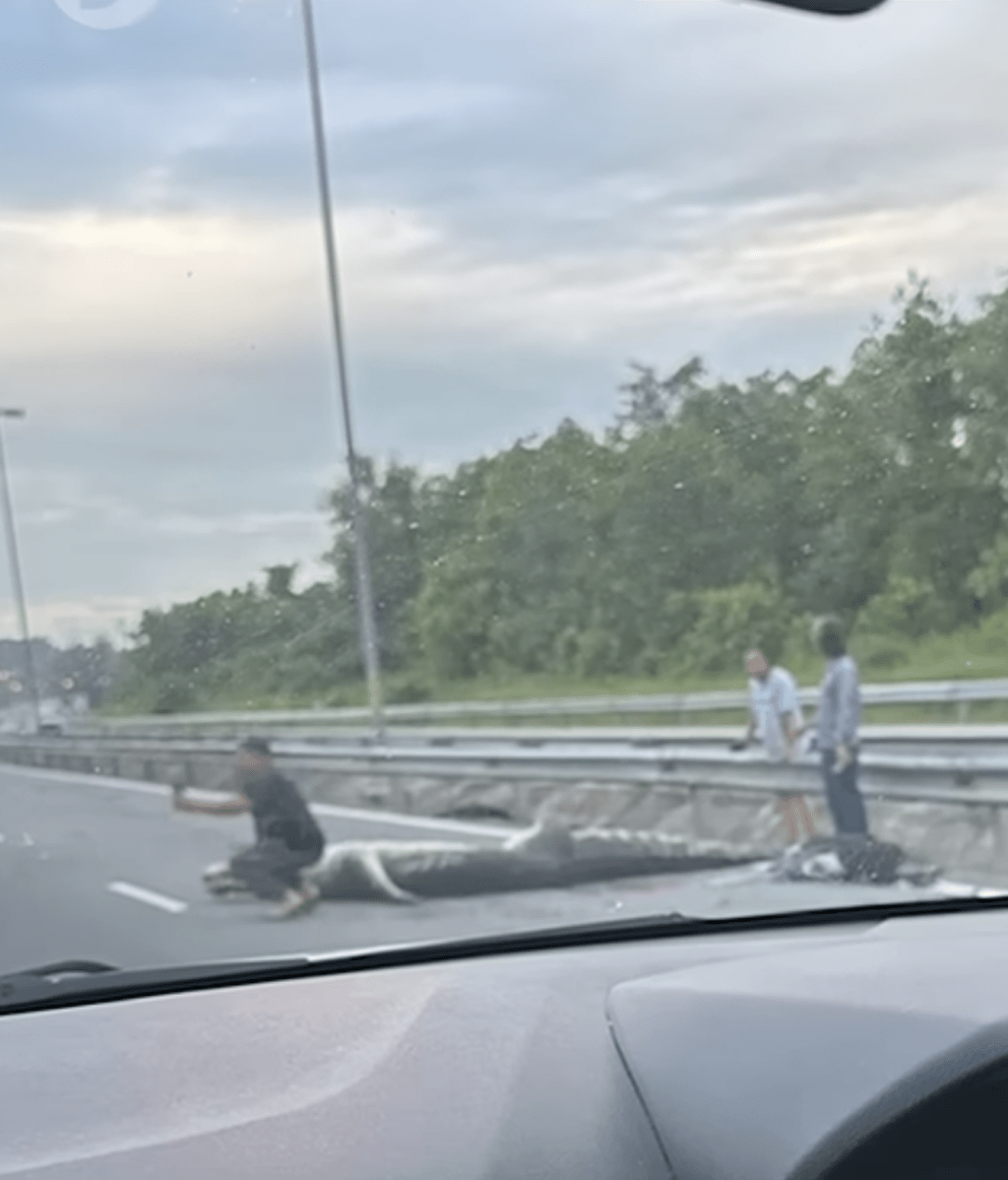 不少駕駛者好奇下車拍照及駐足觀看。