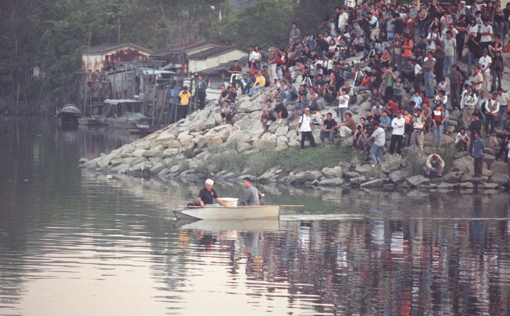2003年山贝河出现小湾鳄，哄动一时。