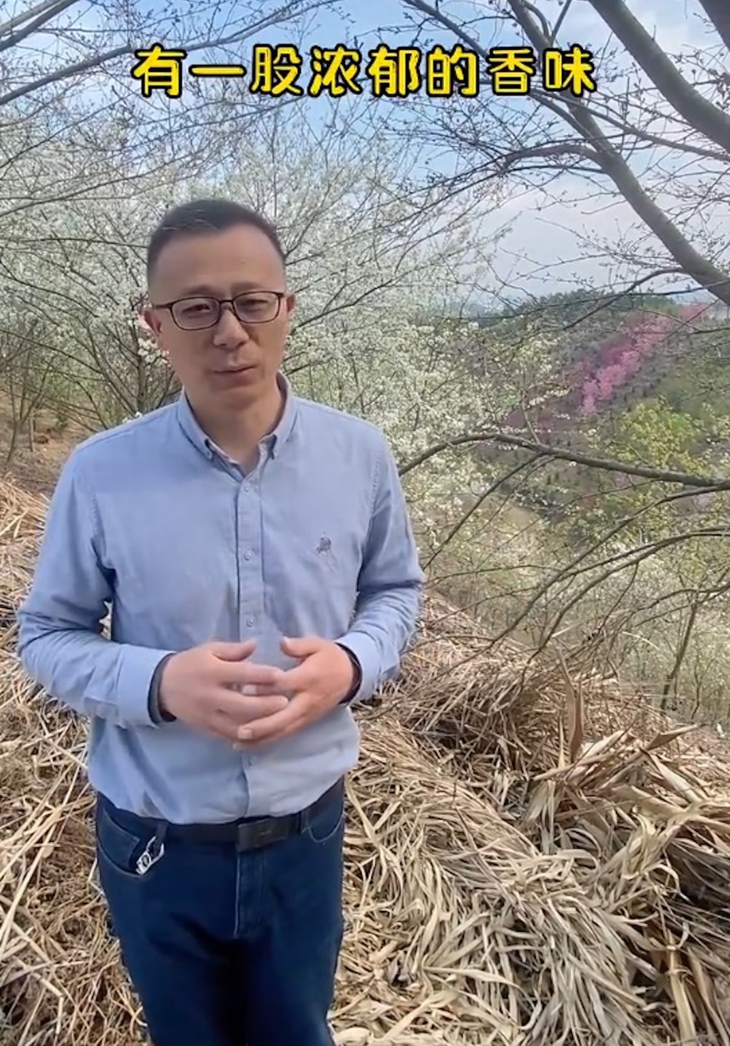 浙江省林業科學院在餘杭長樂林場西山林區，培育了一片櫻花谷。網片截圖