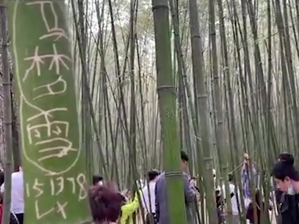 逾百遊客在竹子上刻字。