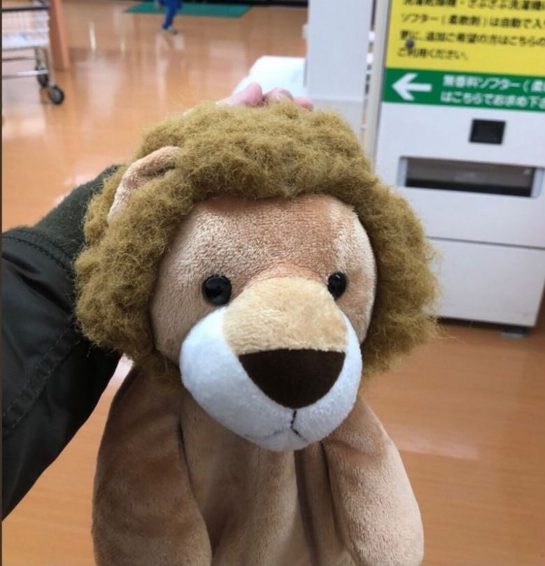 从干衣机取出后狮子无𦍬变了一头挛发。twitter