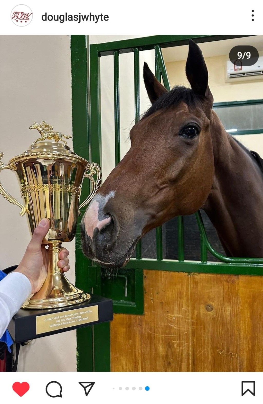 「將王」勝出一級賽酋長錦標,成功為香港爭光 「將王」勝出一級賽酋長錦標,成功為香港爭光