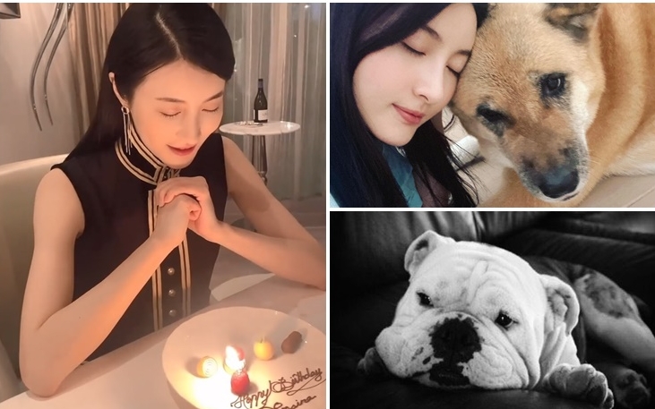 林夏薇今年生日過得不容易。