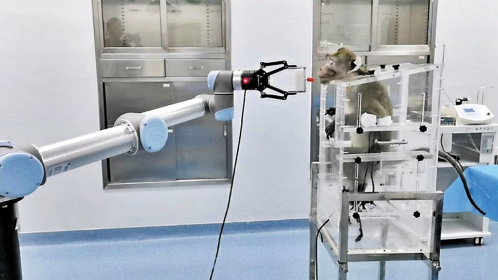 介入式脑机接口非人灵长类动物试验手术在北京成功完成。