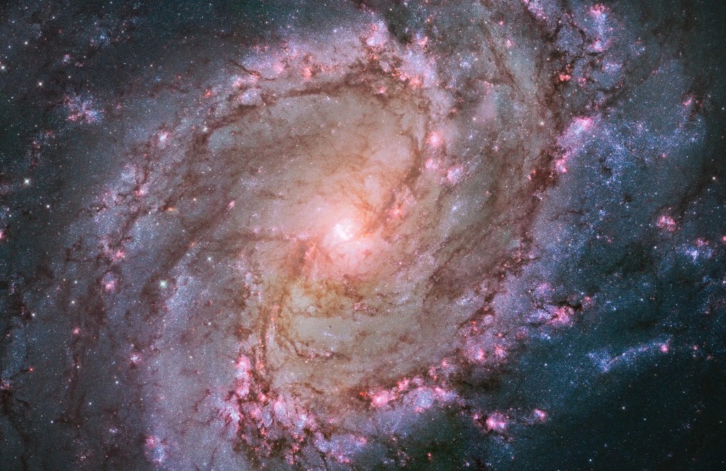 Messier 83 (The Southern Pinwheel) ©NASA