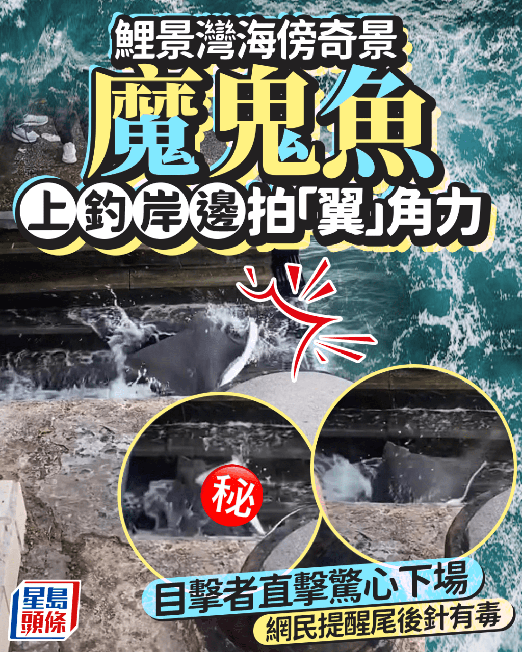 鯉景灣海傍奇景 魔鬼魚上釣岸邊拍「翼」角力 目擊者直擊驚心下場 網民提醒尾後針有毒