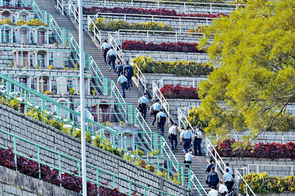 墳場尋骨
