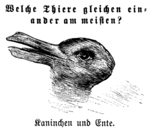 《哲学研究》第二部分，第六节探讨的「鸭兔错觉」（维基百科图片）