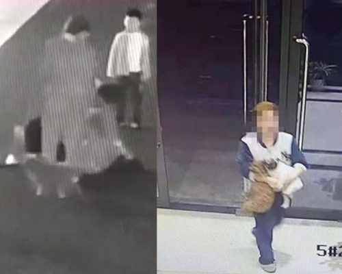 涉事的男狗主金某(右)騎在徐女的身上揮拳打人。(網圖)