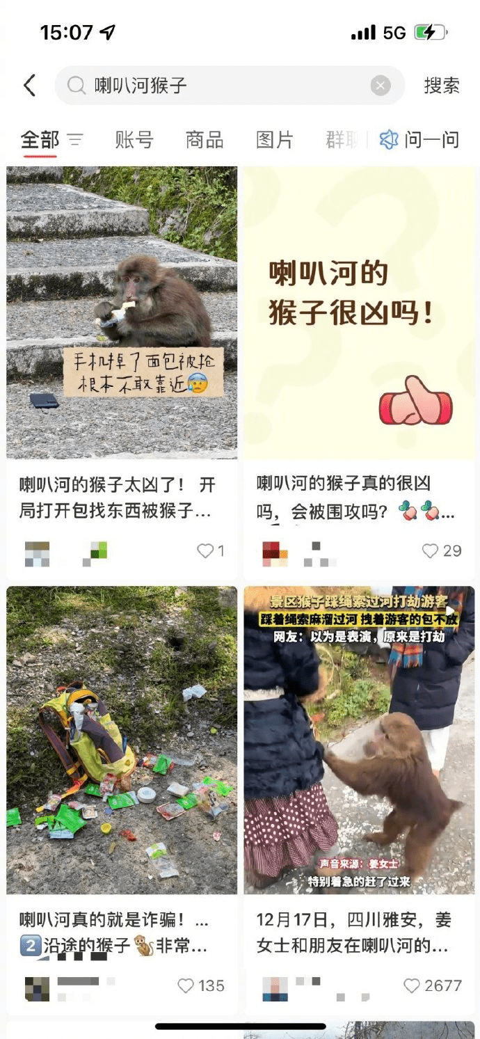 游客受野猴袭击时有发生。
