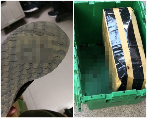 店員稱整晚在打蟑螂。網圖