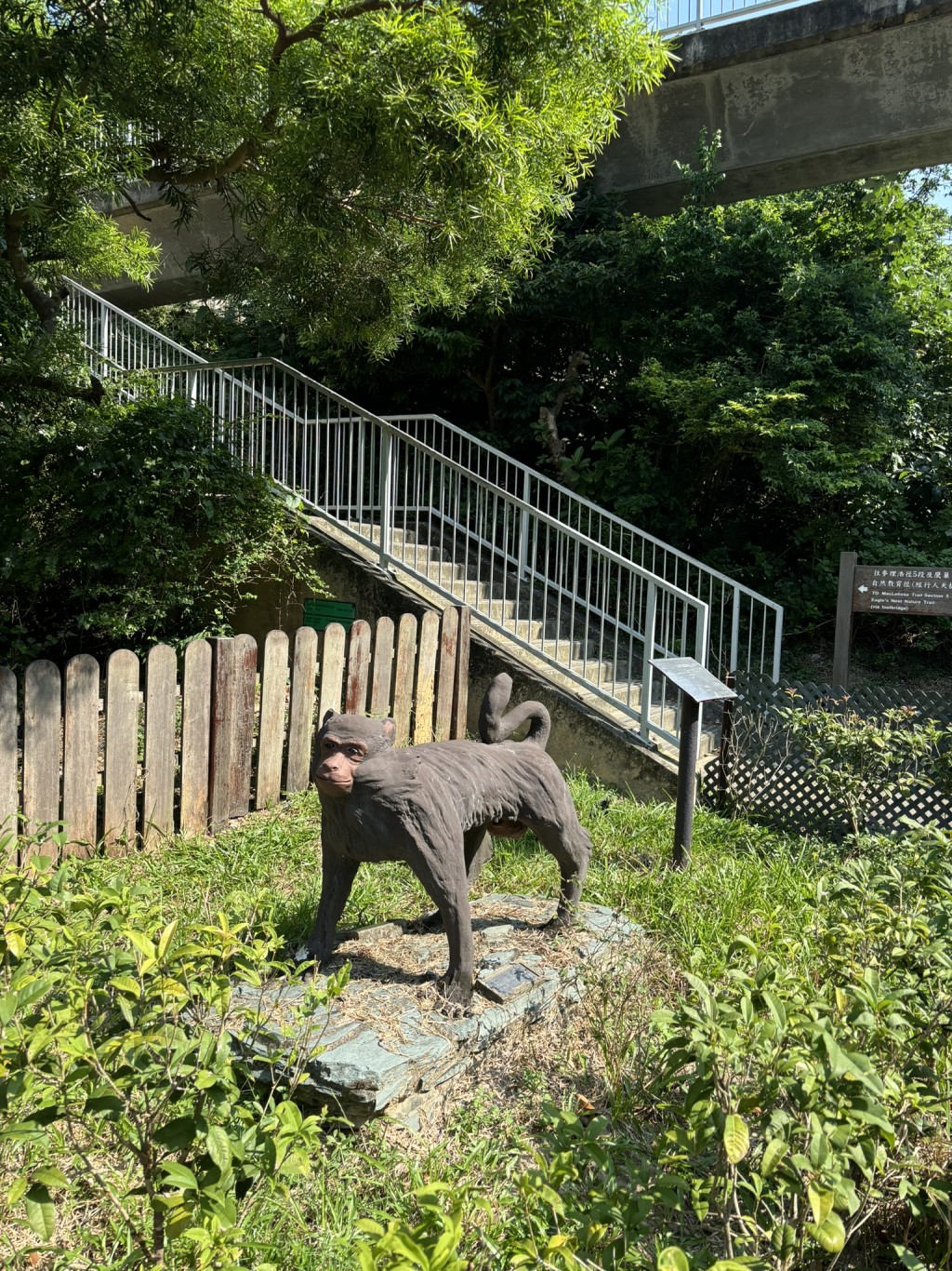 金山郊野公園是馬騮的聚居地，多 年來由於常有人餵飼， 已變得不怕人，家長要看管好子女，並且收好食物，不要餵飼野生動物。（圖片來源：《親子王》）