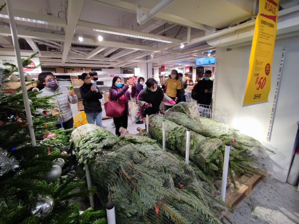 铜锣湾分店割价50元圣诞树引发抢购潮。