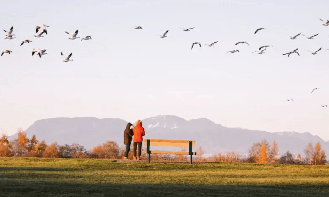 列治文市有機會要將部分土地擁有權還給原住民。列治文旅遊官網