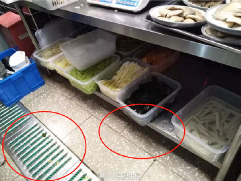 湖南衞視主播杜海濤創立的火鍋品牌「辣鬥辣」加盟店，則被投訴火鍋湯菜中有蒼蠅。網圖
