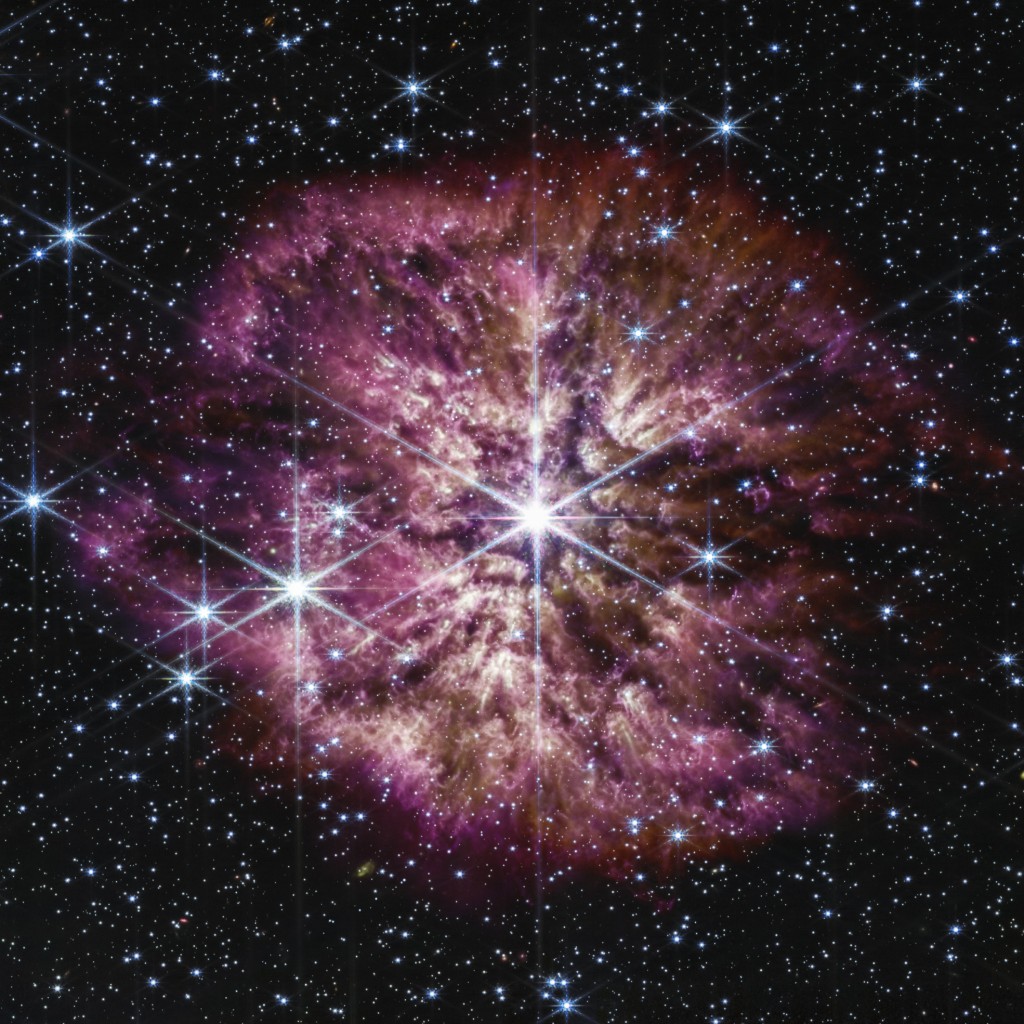 美國太空總署（NASA）14日發布WR 124恆星的「垂死」畫面，宛如一朵紫色櫻花綻放美麗的花瓣，讓科學家大為驚嘆。 美聯社