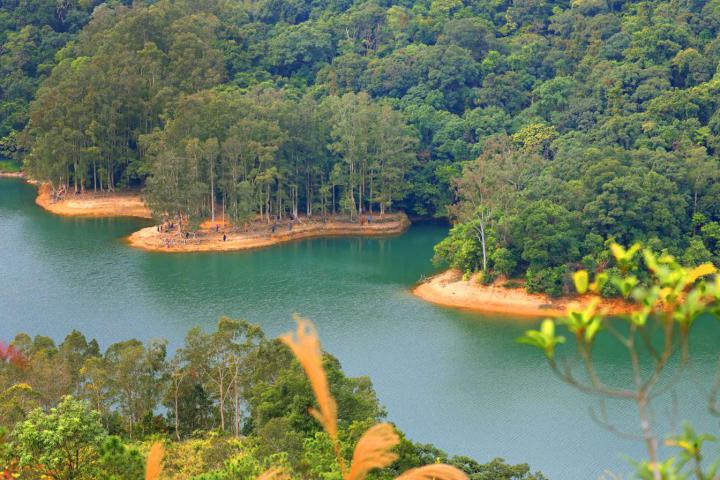  饱览城门水塘美景。（图片来源：渔农自然护理署）