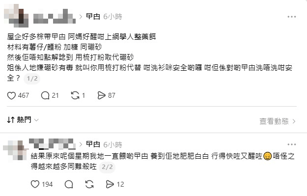 有网民分享其母亲本想自制「曱甴饵」，却因错用材料，意外变成喂养曱甴的「粮食」