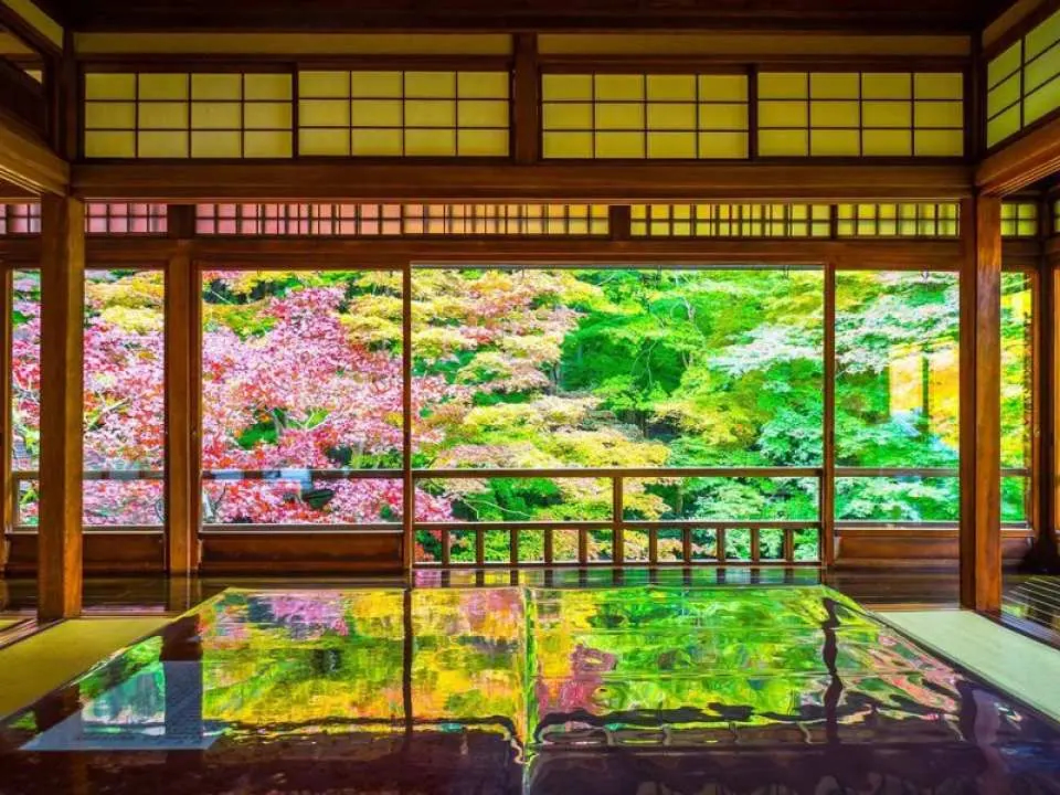 瑠璃光院位於京都左京區八瀨比叡山山腳,僅在春季、夏季及秋季限定開放,其中以紅葉映照窗景最為著名,每年吸引大批旅客前往參觀(來源:KKDAY) 瑠璃光院位於京都左京區八瀨比叡山山腳,僅在春季、夏季及秋季限定開放,其中以紅葉映照窗景最為著名,每年吸引大批旅客前往參觀(來源:KKDAY)