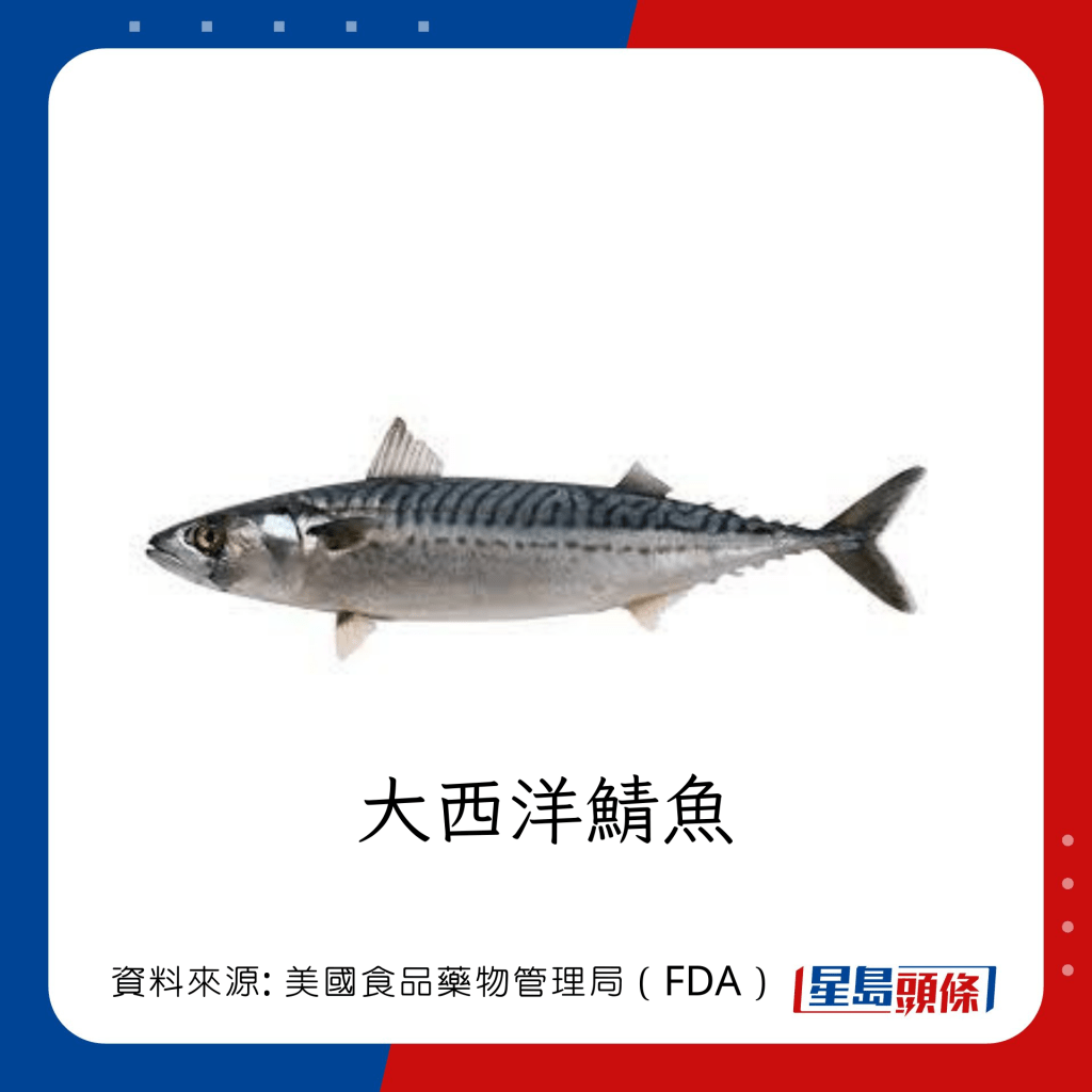 低水銀魚類 ：大西洋鯖魚