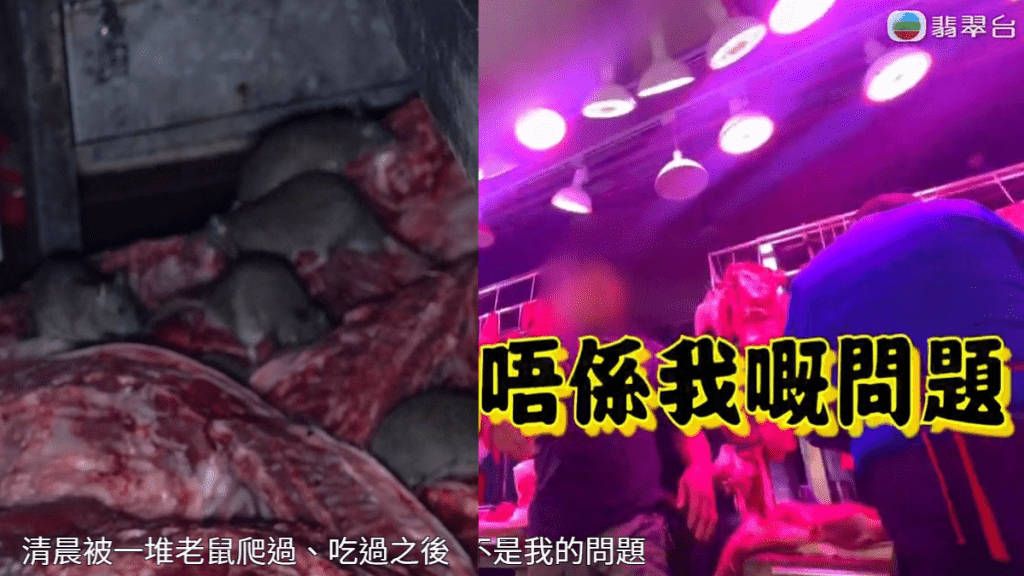 東張西望丨土瓜灣鼠患驚魂！直擊處理豬肉過程  地上切割、拖行生豬  店員：香港有邊間唔係咁