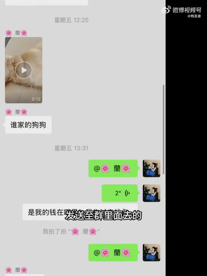 狗主尋犬期間在群組看到影片。 狗主尋犬期間在群組看到影片。